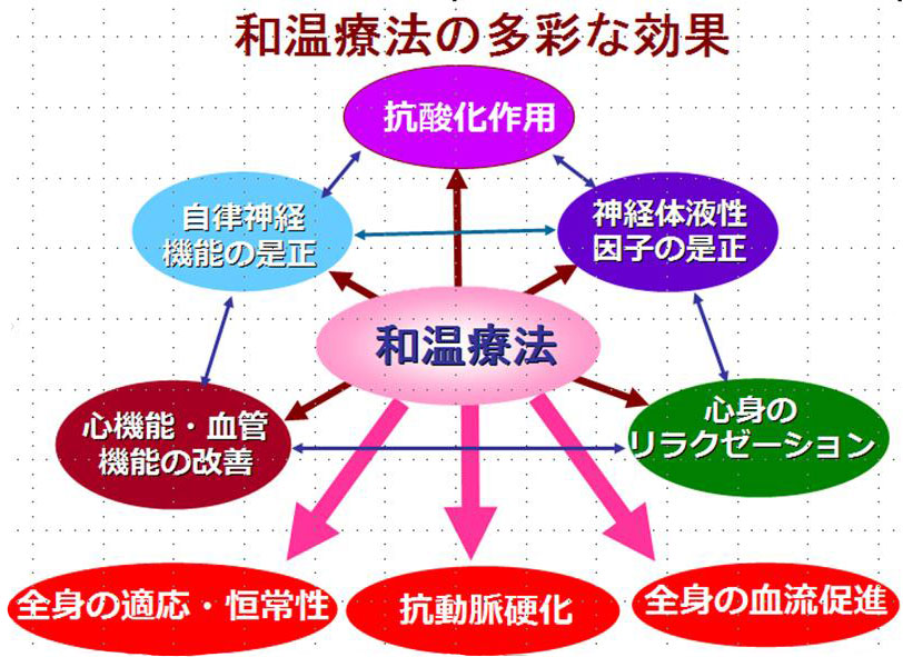 多彩な効果と臨床応用01